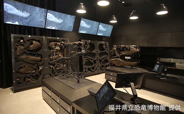 化石研究体験室