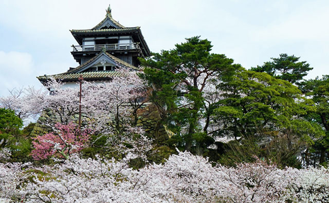 丸岡城