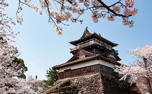 丸岡城