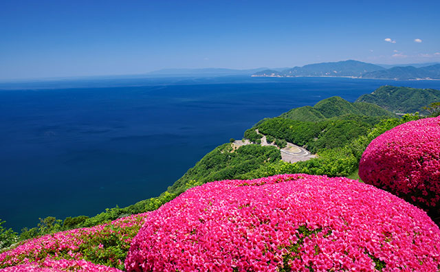 三方五湖（みかたごこ）　レインボーラインのつつじ
