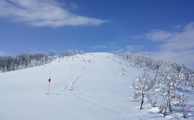 スキージャム勝山のイメージ