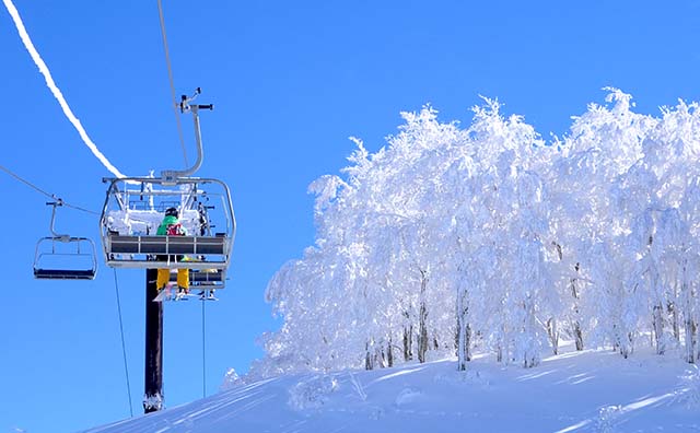 スキージャム勝山のイメージ