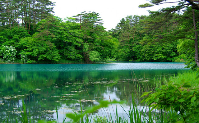 裏磐梯・五色沼 （ごしきぬま）