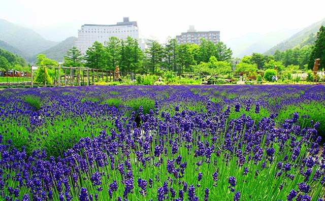  猪苗代ハーブ園