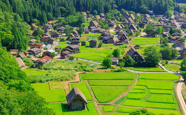 岐阜エリア夏の白川郷のイメージ