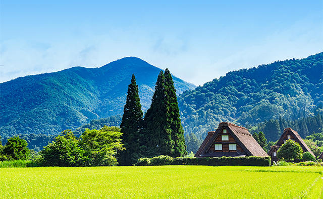 東海