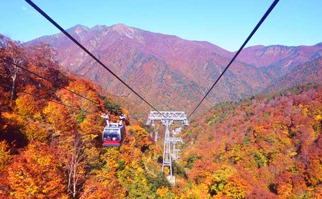 谷川岳ロープウェイ のイメージ