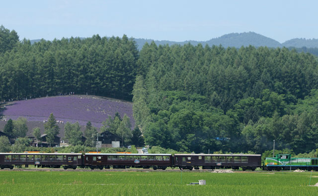 富良野・美瑛ノロッコ号