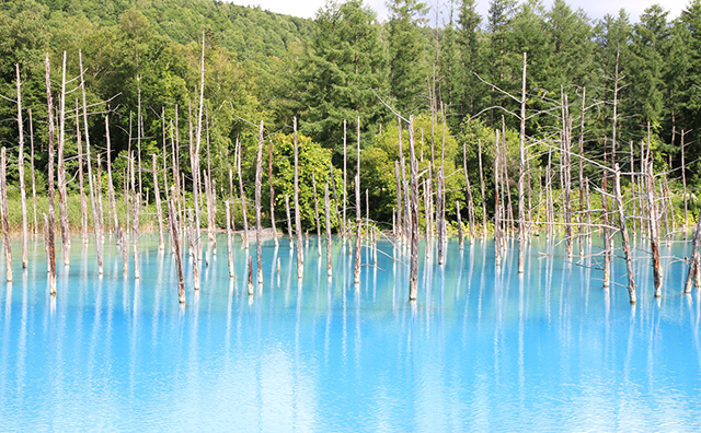 青い池のイメージ