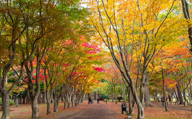 旧岩船氏庭園（香雪園）のイメージ