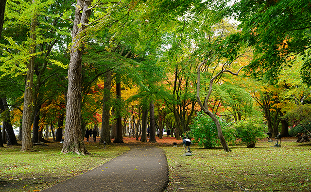旧岩船氏庭園（香雪園）新緑