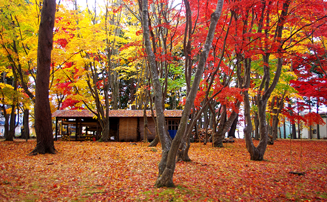 香雪園（見晴公園）紅葉のイメージ
