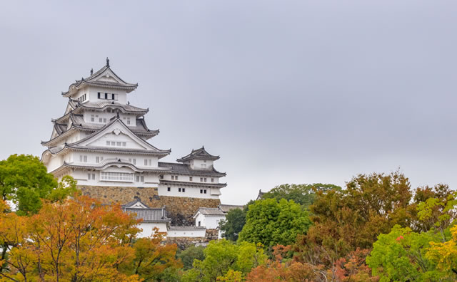 姫路城と紅葉 のイメージ