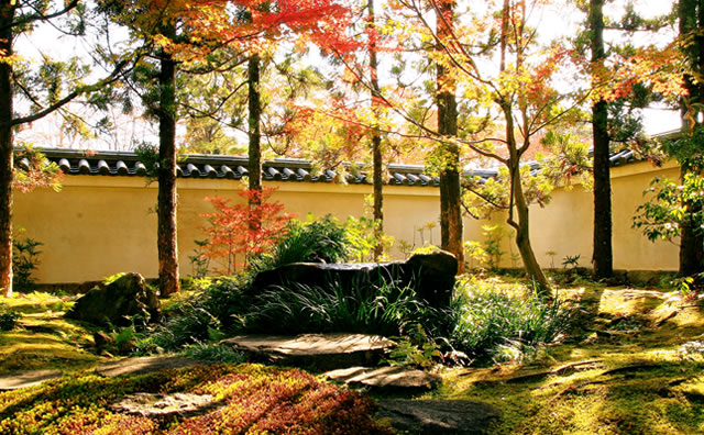 姫路城西御屋敷跡庭園 好古園　 御屋敷の庭 井泉 のイメージ