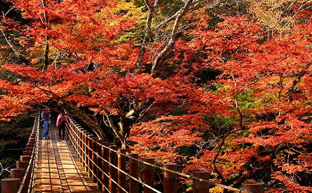 花貫渓谷（イメージ）