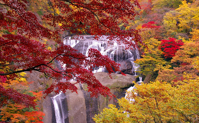 秋の紅葉ツアー 旅行特集21 びゅうトラベル Jr東日本