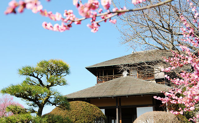 茨城エリア 偕楽園