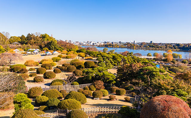 偕楽園　紅葉