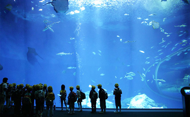アクアワールド茨城県大洗水族館 館内