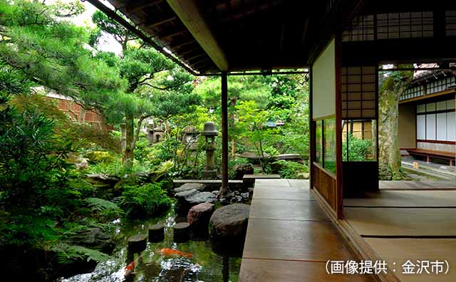 新緑の季節の野村家のイメージ