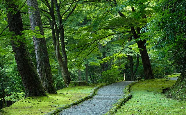 遊歩道