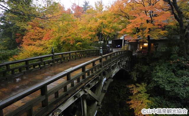 鶴仙渓　こおろぎ橋