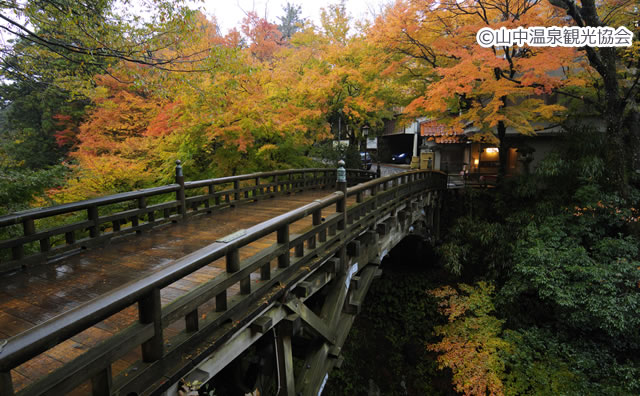 鶴仙渓　こおろぎ橋 のイメージ