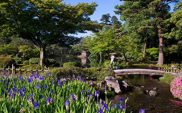 春の兼六園イメージ