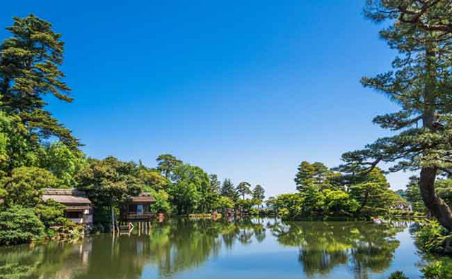 石川エリアの夏の兼六園