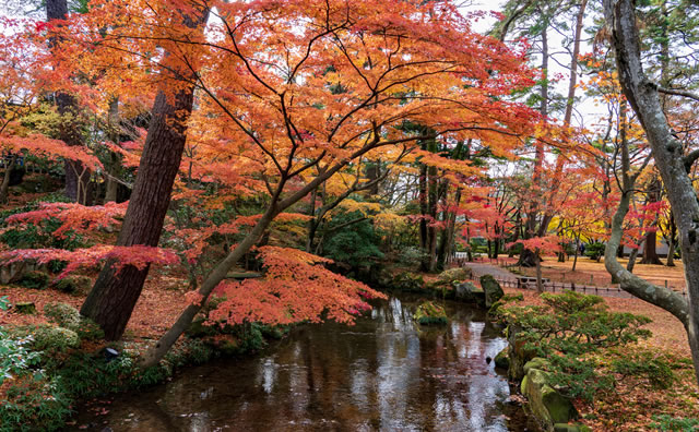 紅葉の兼六園 のイメージ
