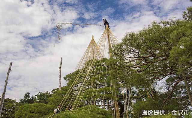 兼六園のイメージ
