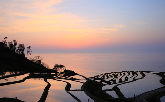 4月下旬、田植え前(夕暮)のイメージ