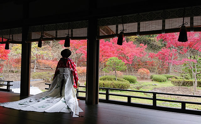 歴史公園えさし藤原の郷　伽羅御所の紅葉