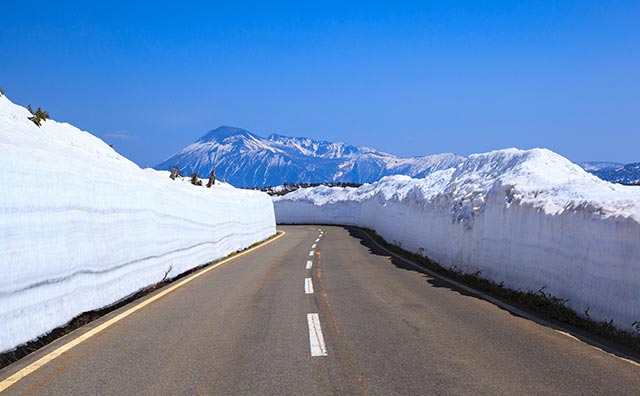 八幡平アスピーテライン　雪の回廊