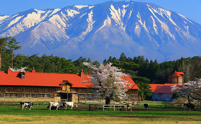 小岩井農場まきば園