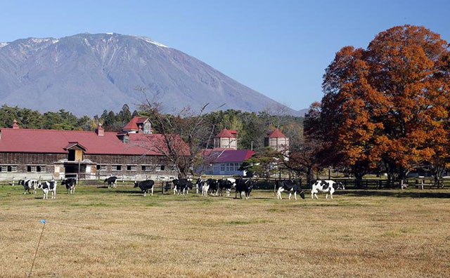 小岩井農場