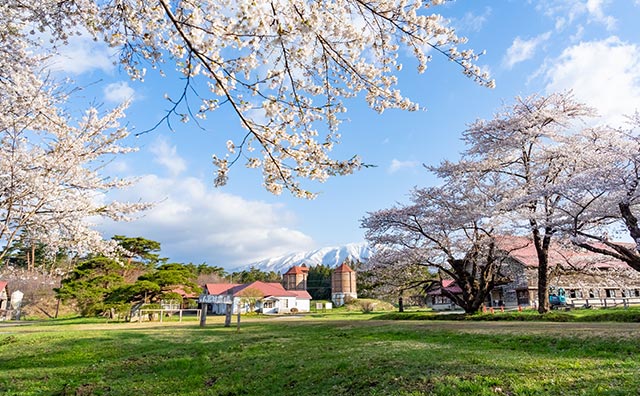 小岩井農場　上丸牛舎