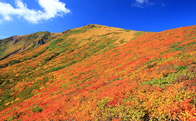 栗駒山　須川岳