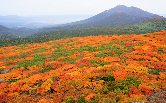 三ツ石山