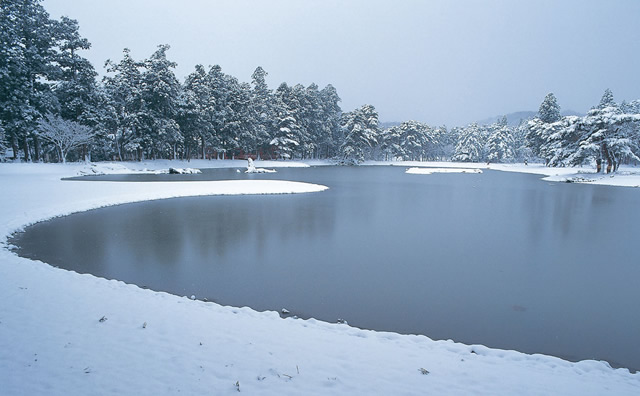 冬の毛越寺 庭園大泉が池 のイメージ
