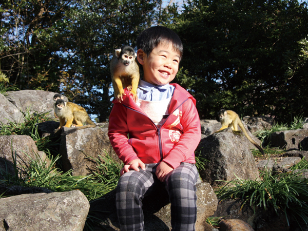伊豆シャボテン動物公園で遊ぶイメージ