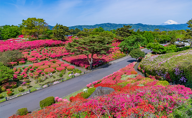 小室山公園のイメージ