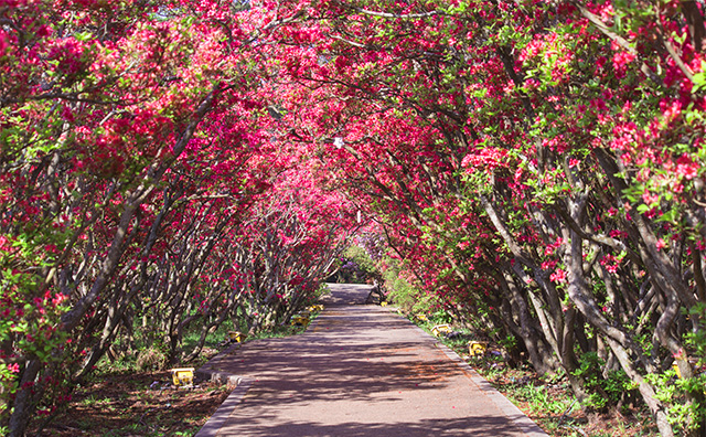 小室山公園のイメージ