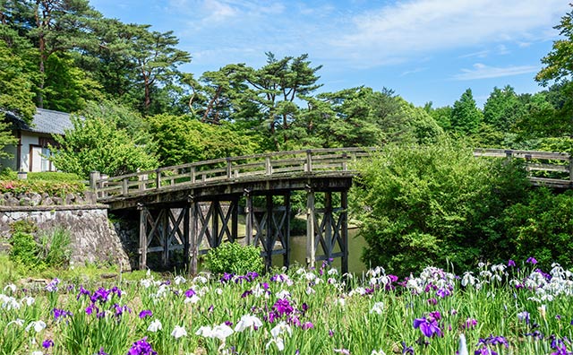 修善寺 虹の郷のイメージ