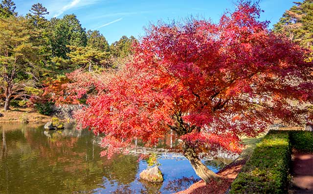 修善寺 虹の郷のイメージ