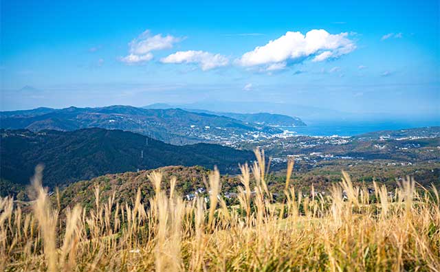 大室山のイメージ