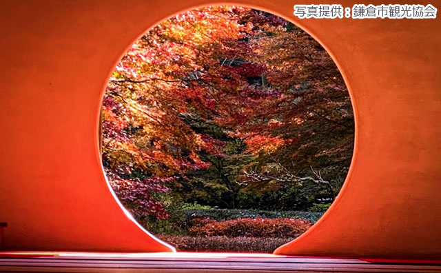 明月院　悟りの窓　秋 のイメージ