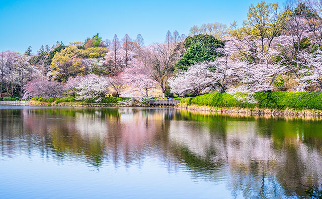 三ツ池公園