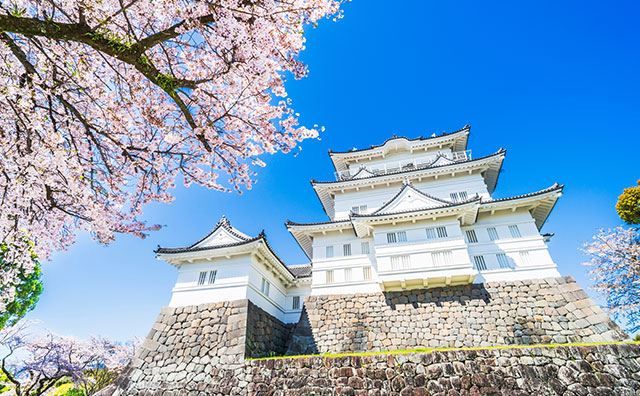 小田原城址公園