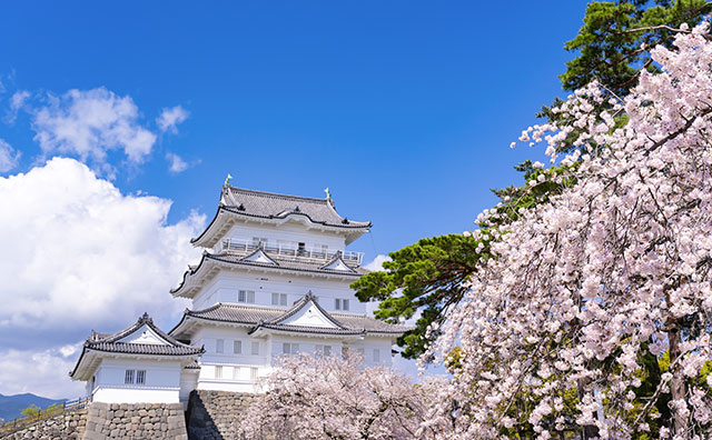 小田原城址公園